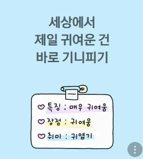 clipboard_1785056779860.png